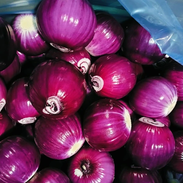 Η Huaang Food Processing κερδίζει μερίδιο αγοράς με σταθερή ποιότητα