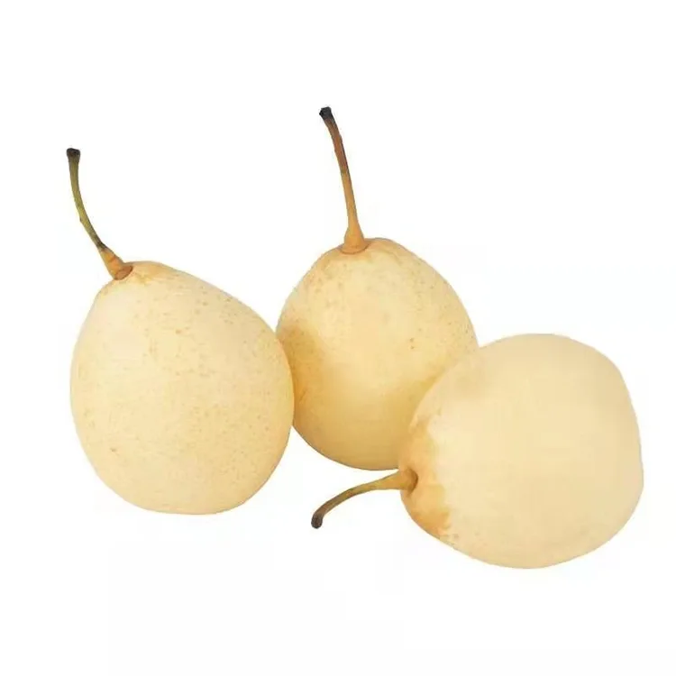 Φρεσκοκομμένο Ya Pear