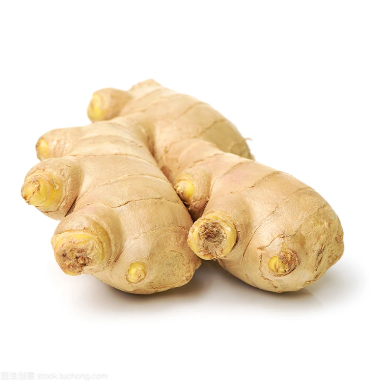 Premium fresh ginger 