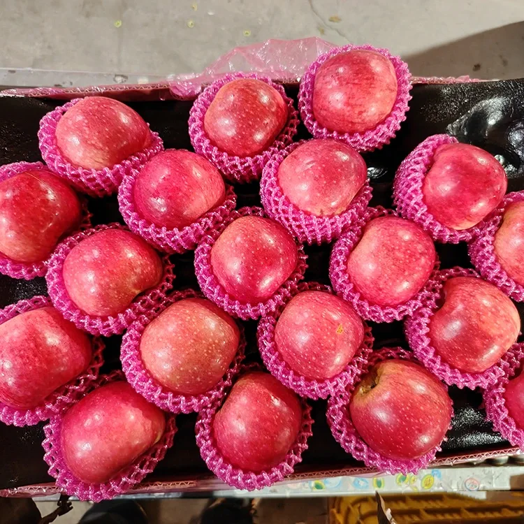 Superior φρέσκα μήλα Jiguan